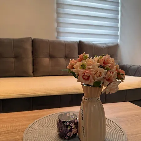 Vanilla Apartamento Zavidovici