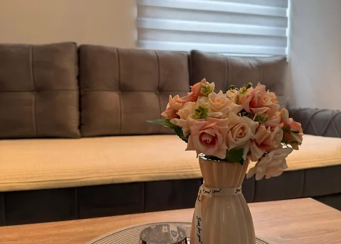 Vanilla Daire Zavidovici